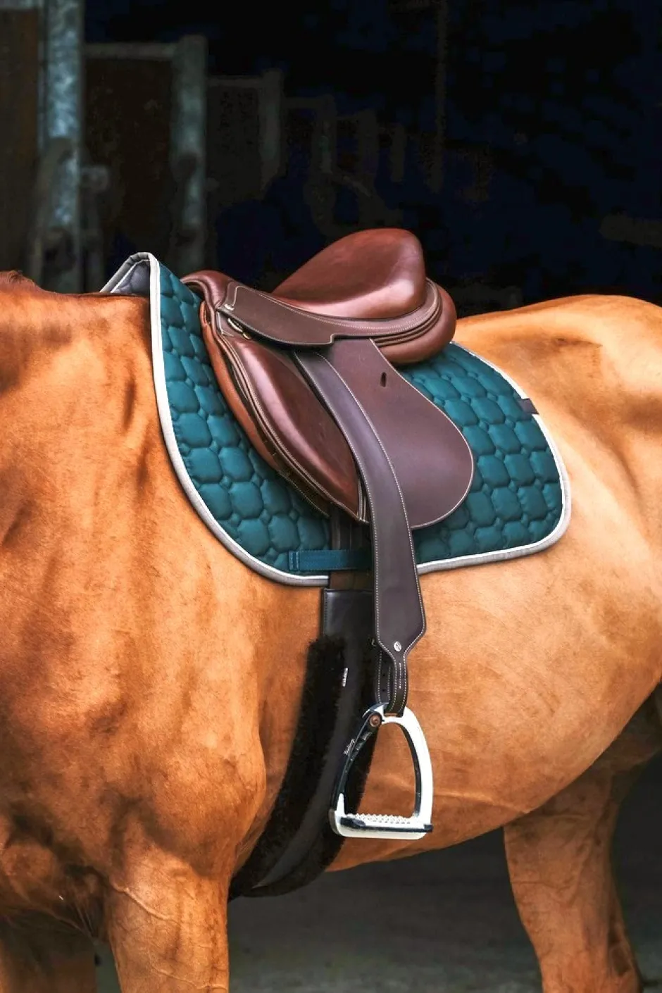 EQUITHÈME Orion Schabracken