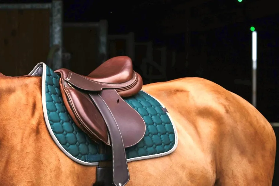 EQUITHÈME Orion Schabracken