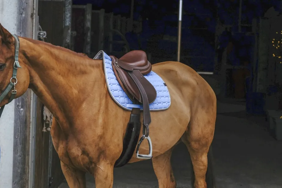 EQUITHÈME Orion Schabracken