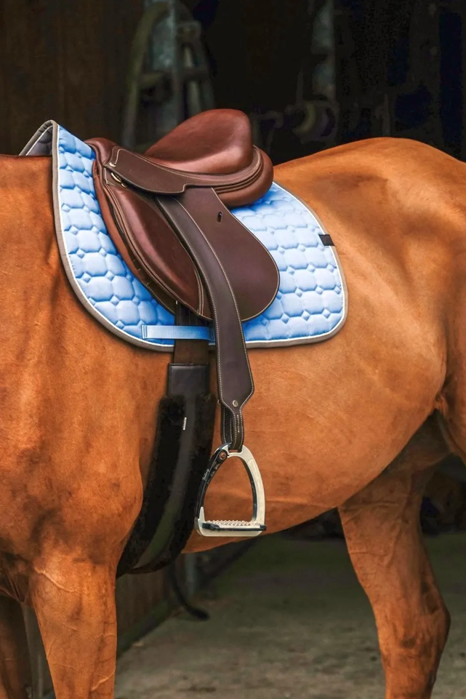 EQUITHÈME Orion Schabracken