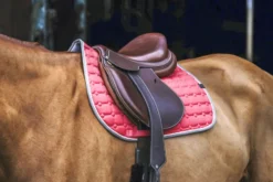 EQUITHÈME Orion Schabracken