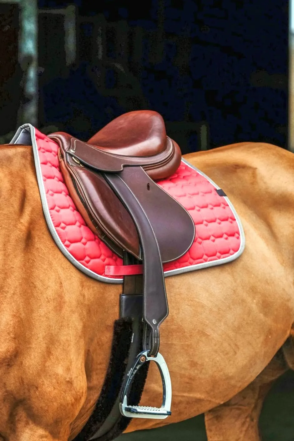 EQUITHÈME Orion Schabracken