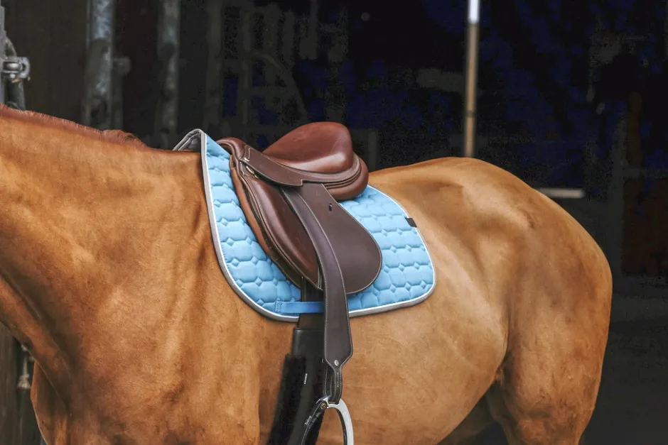 EQUITHÈME Orion Schabracken