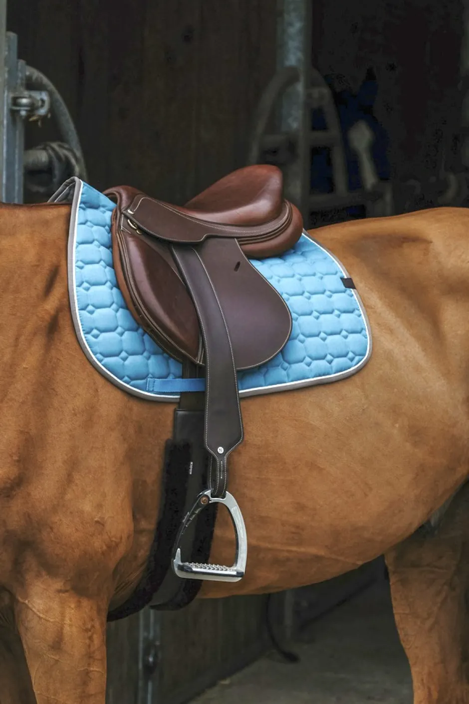 EQUITHÈME Orion Schabracken