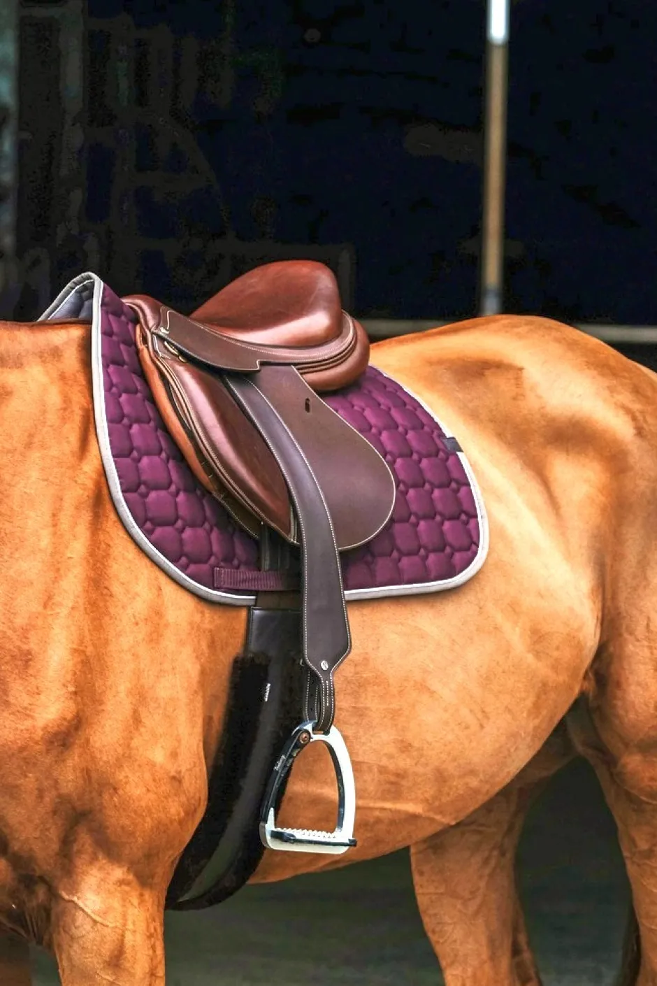 EQUITHÈME Orion Schabracken