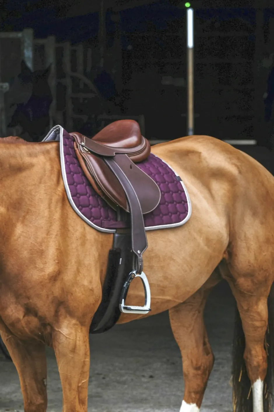 EQUITHÈME Orion Schabracken