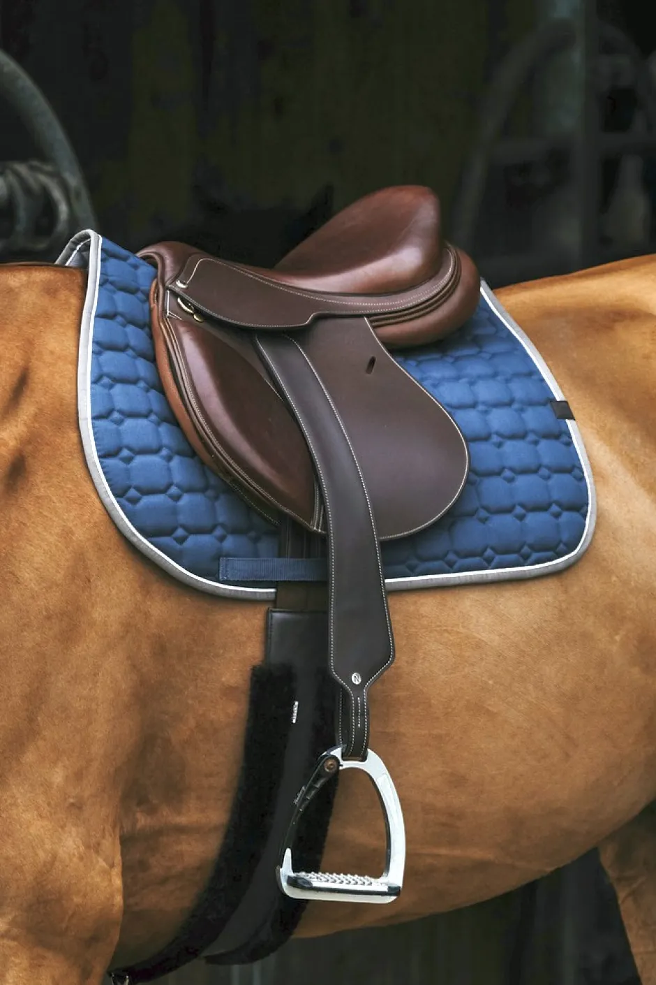 EQUITHÈME Orion Schabracken