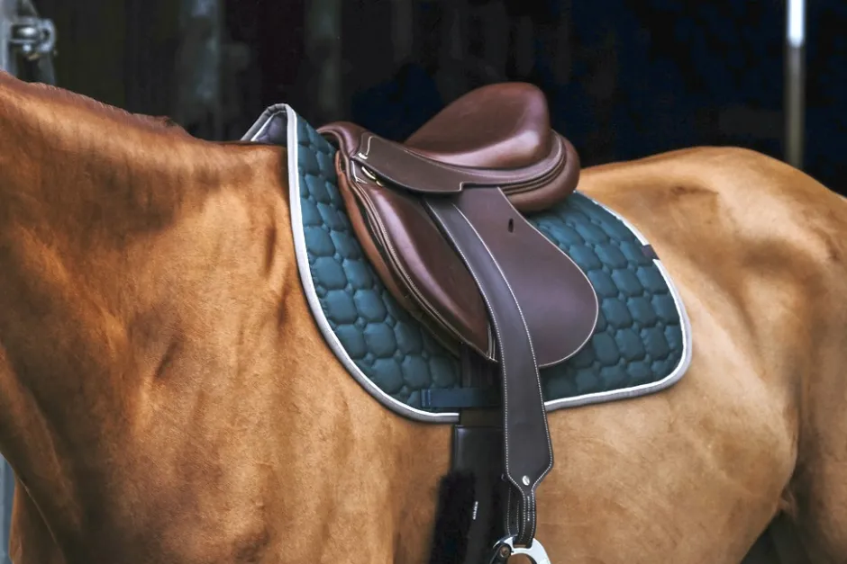 EQUITHÈME Orion Schabracken