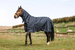 EQUITHÈME Outdoordecke - Anatomic Combo 1200D