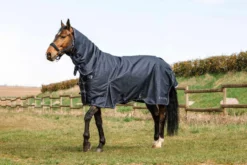 EQUITHÈME Outdoordecke 0 g - Anatomic Combo 1200D