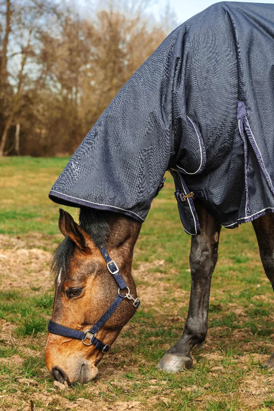 EQUITHÈME Outdoordecke 0 g - Anatomic Combo 1200D
