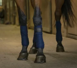EQUITHÈME Polobandagen