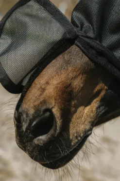 EQUITHÈME - Protec - Fliegen-/UV-Maske