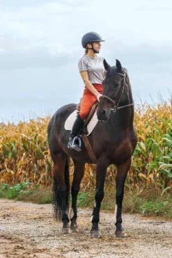 EQUITHÈME Reitleggings - Acacia