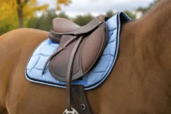 EQUITHÈME Satin Schabracke