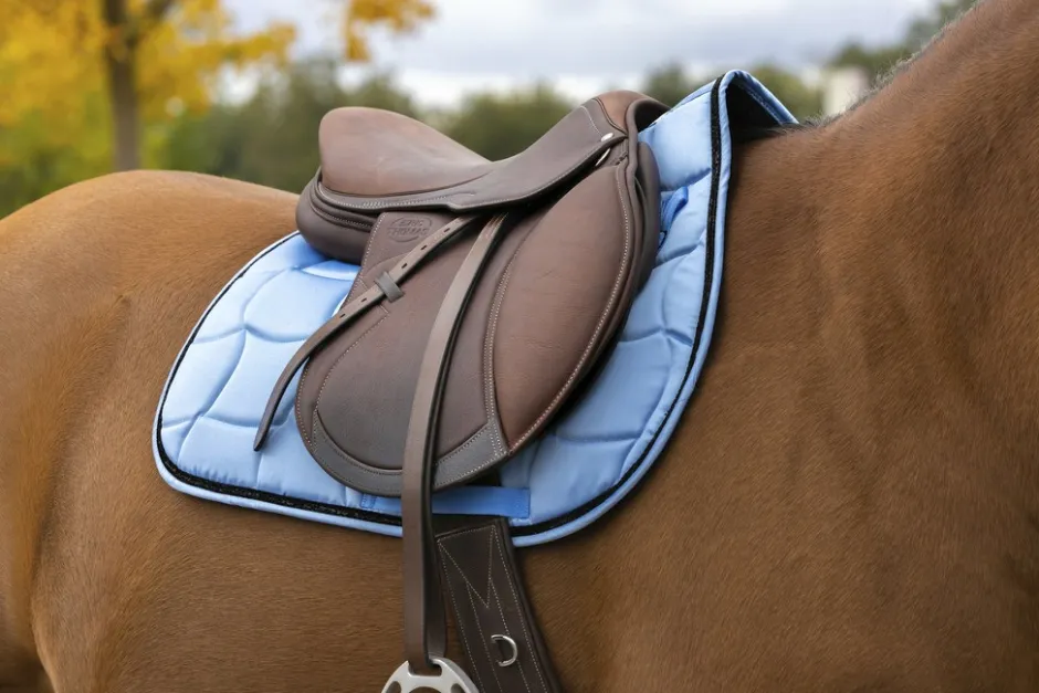 EQUITHÈME Satin Schabracke