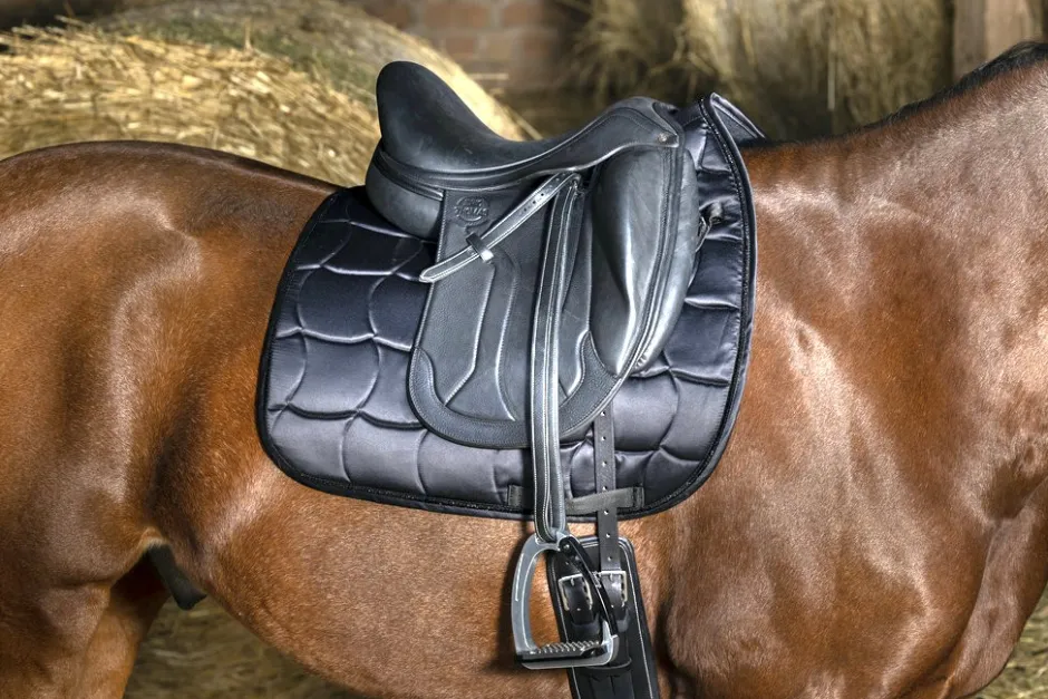 EQUITHÈME Satin Schabracke