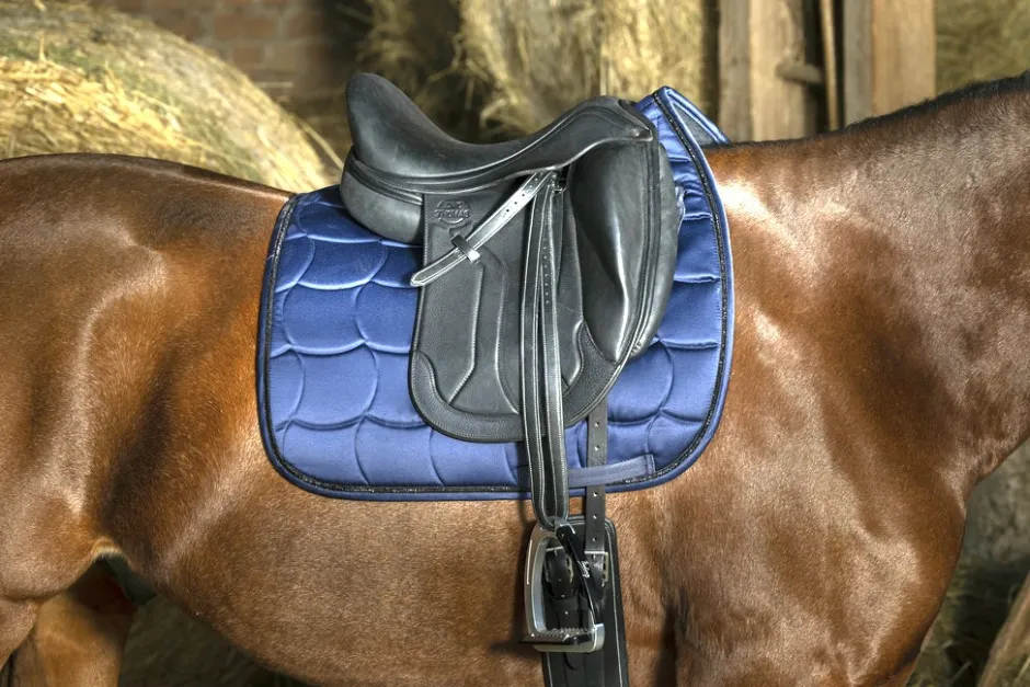 EQUITHÈME Satin Schabracke