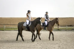 EQUITHÈME Savy T-Shirt