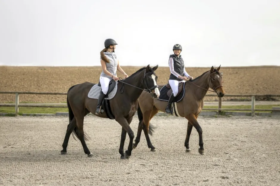 EQUITHÈME Savy T-Shirt