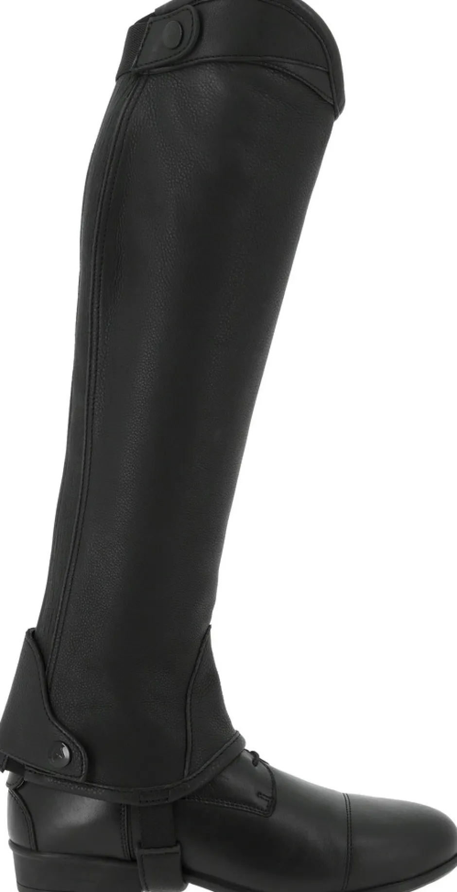 EQUITHÈME - Select - Mini Chaps