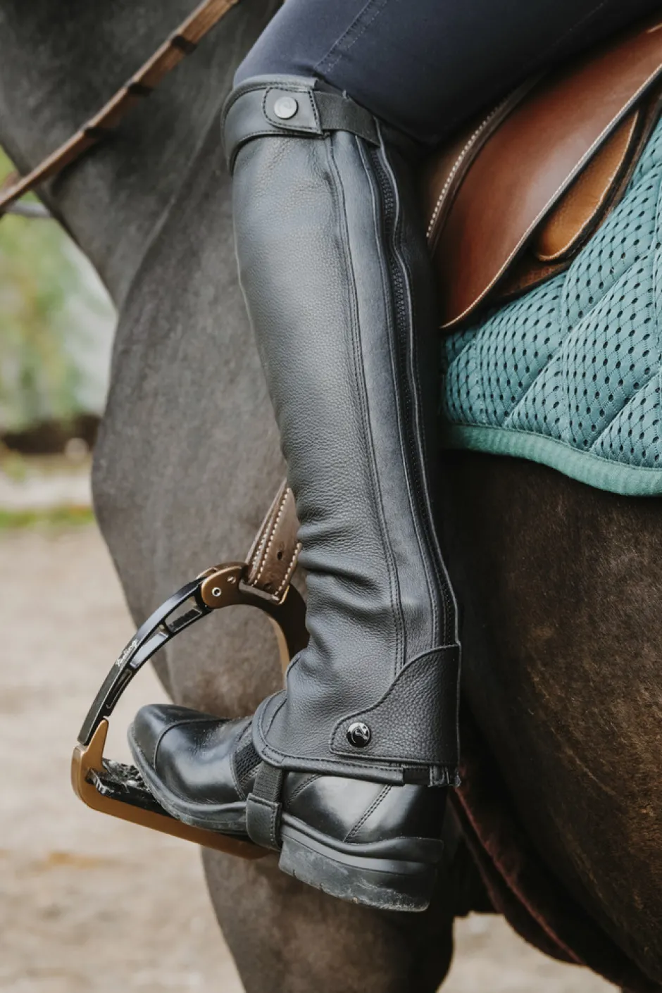 EQUITHÈME - Select - Mini Chaps
