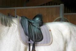 EQUITHÈME Softy Schabracke