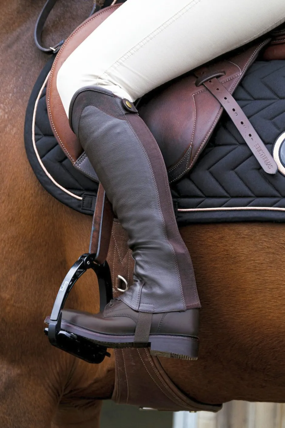 EQUITHÈME Sparkly Mini Chaps