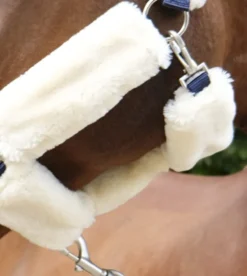 EQUITHÈME Teddy Halfter
