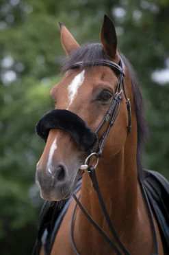 EQUITHÈME „Teddy Nasenband Schonbezug