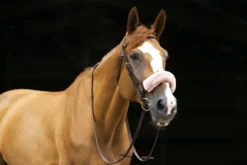 EQUITHÈME „Teddy Nasenband Schonbezug