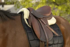 EQUITHÈME „Teddy“ Pad