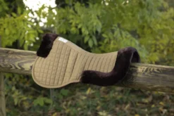 EQUITHÈME „Teddy“ Pad