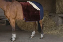 EQUITHÈME Teddy Stalldecke, mit synthetischem Lammfell-Futter