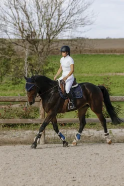EQUITHÈME - Tokyo - Polo