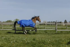 EQUITHÈME - TYREX Aisance 1200D - Outdoor Decke