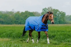 EQUITHÈME - TYREX Aisance 1200D - Outdoor Decke High Neck
