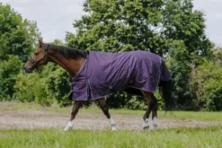 EQUITHÈME - TYREX Aisance 600D - Outdoor Decke
