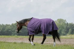 EQUITHÈME - TYREX Aisance 600D - Outdoor Decke
