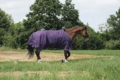 EQUITHÈME - TYREX Aisance 600D - Outdoor Decke