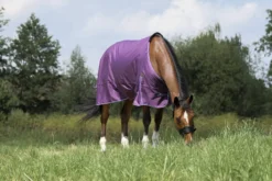 EQUITHÈME - TYREX Aisance 600D - Outdoor Decke