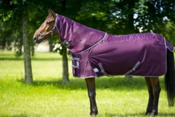 EQUITHÈME TYREX 1200D „Aisance“ High Neck Decke