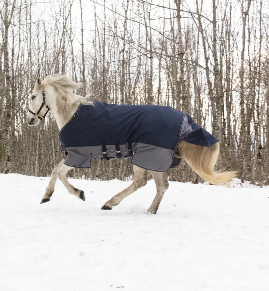 EQUITHÈME „TYREX 600 D“ Belly Belt Decke
