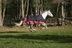EQUITHÈME „TYREX 1200 D“ Decke