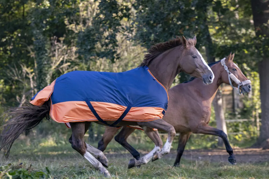 EQUITHÈME TYREX 600 D“ Decke