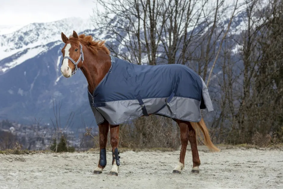 EQUITHÈME TYREX 600 D“ Decke