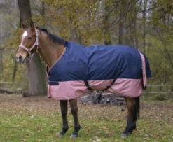 EQUITHÈME TYREX 600 D“ Decke