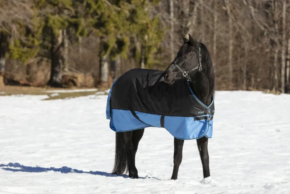 EQUITHÈME TYREX 600 D“ Decke
