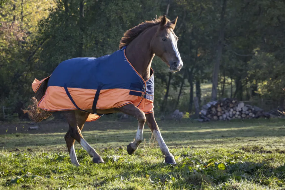EQUITHÈME TYREX 600 D“ Decke