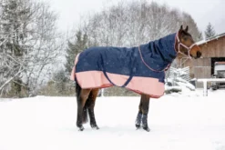 EQUITHÈME TYREX 600 D“ Decke